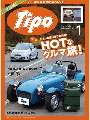 cover image of Tipo: 307号